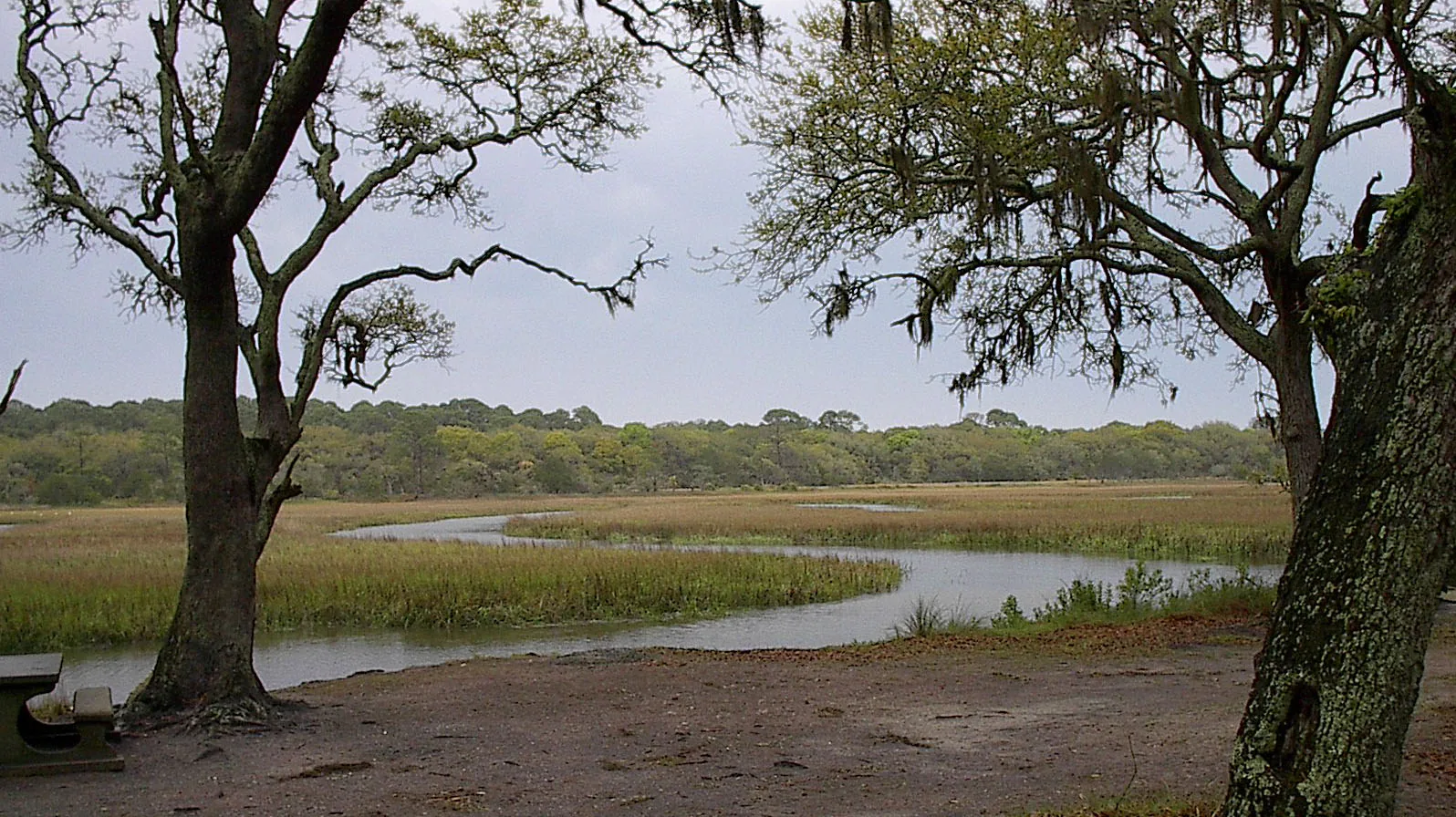 Salt marsh on Jekyll Island, Georgia